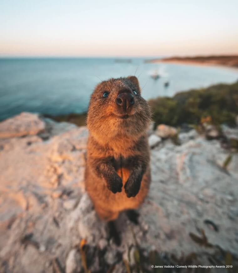 3. ’Excuse me, Can I Have Your Food Please?’