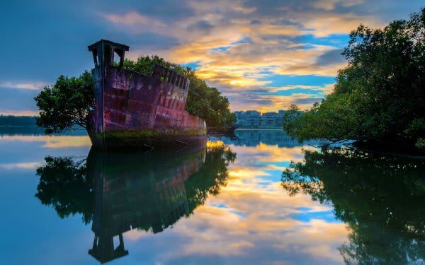 45. Homebush Bay, Australia