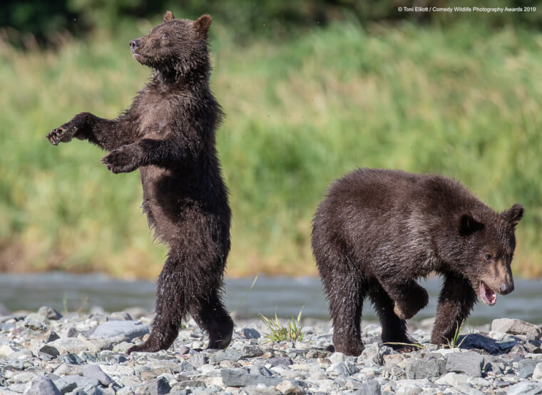 18. Learning To Walk Like Humans