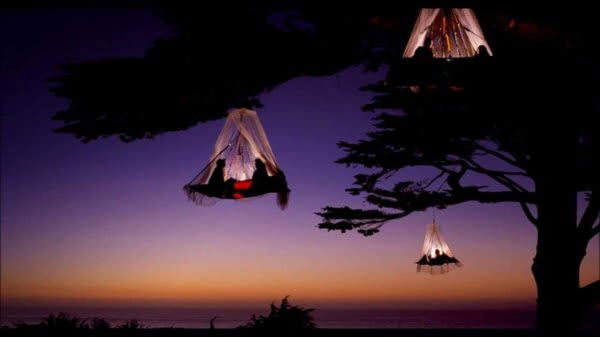 23. Tree Camping in California, United States of America