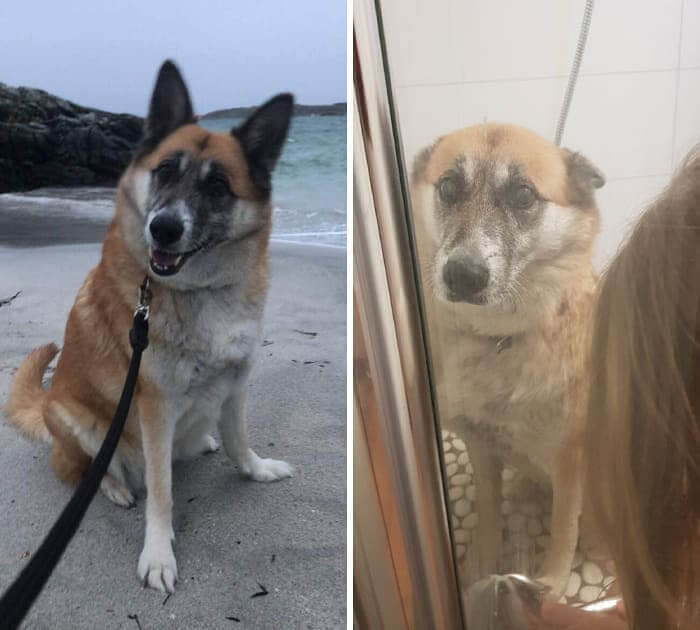 13. Fun Time vs. Bath Time