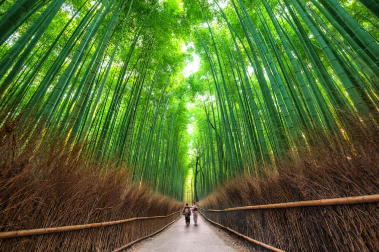 33. Sagano Bamboo Forest, Japan