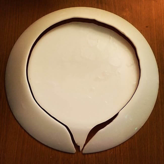 A Perfectly Broken Plate Does Exist And This Is It