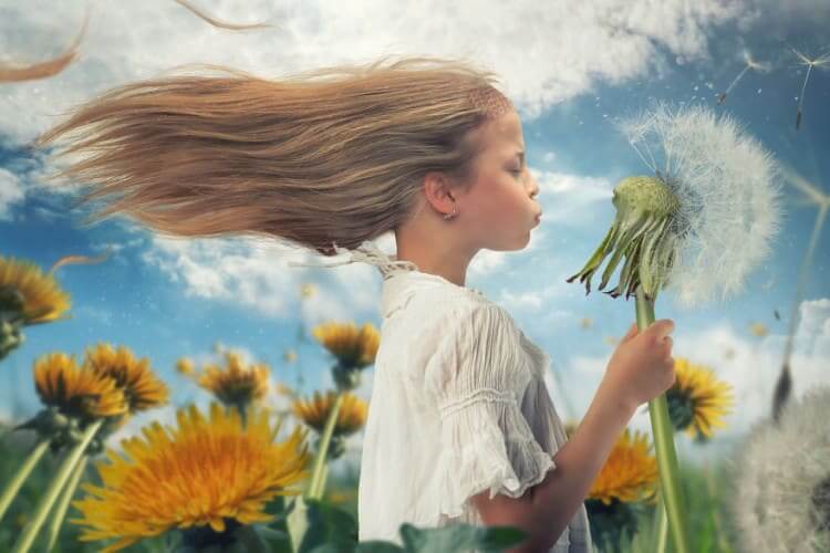 11. Dandelion Strikes Back