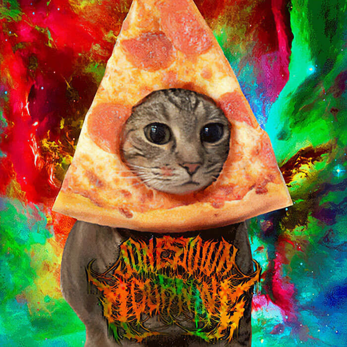 Beware the Pizza Cat