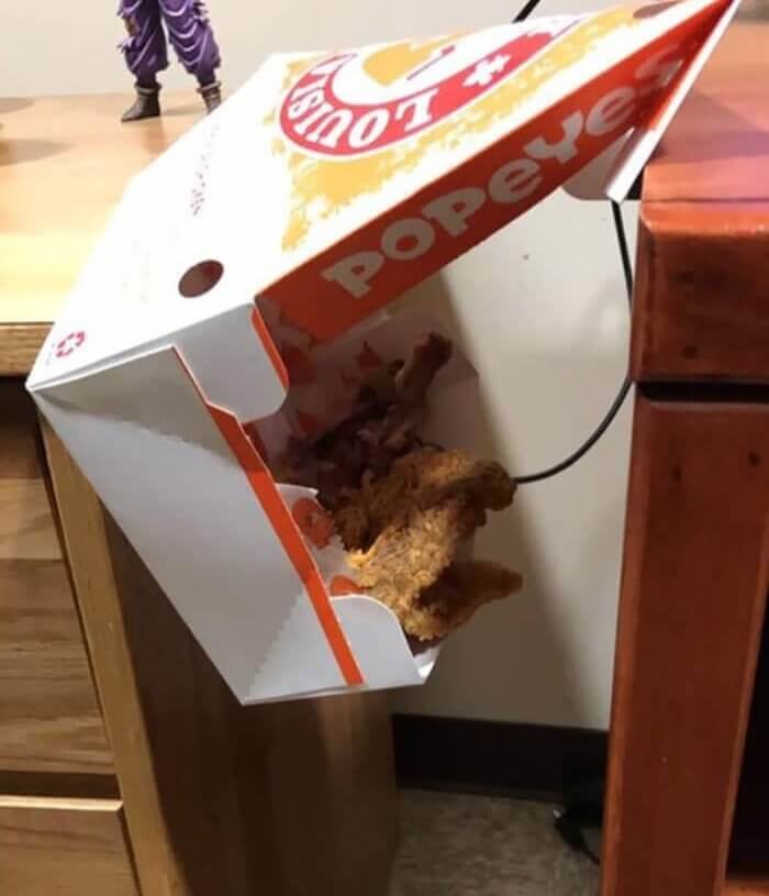 Fried Chicken Container Saves the Day