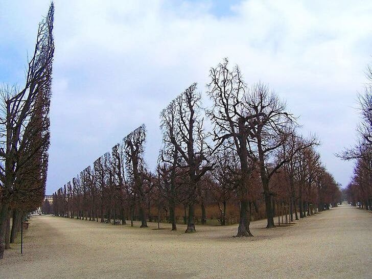 Precision Cut Trees Makes Life Feel Like A Video Game