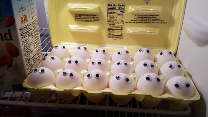 All the Eggs Are Watching You