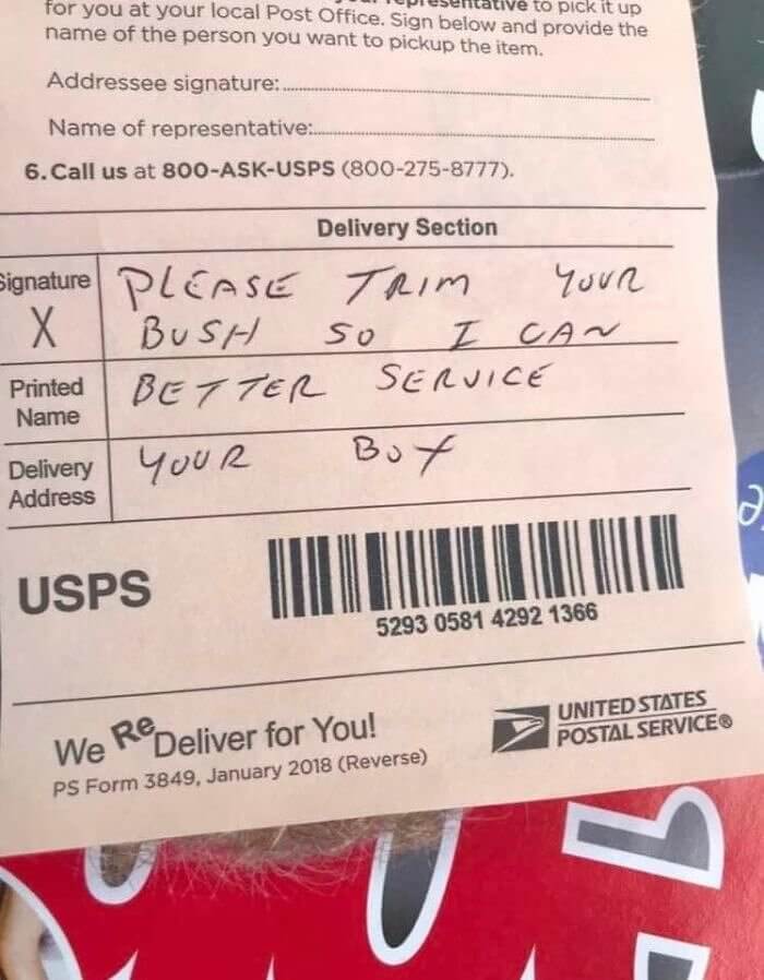 A Funny Postman's Innocent Request