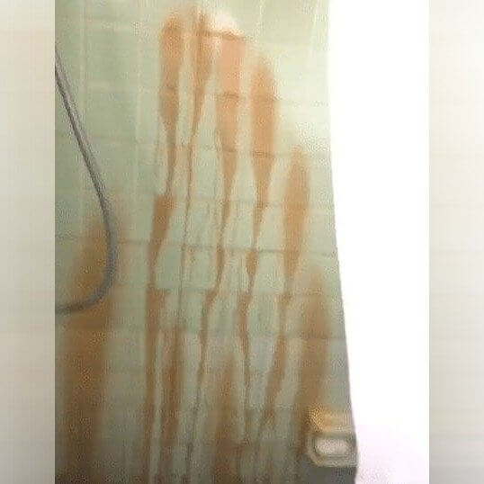 Just Clean the Shower Please