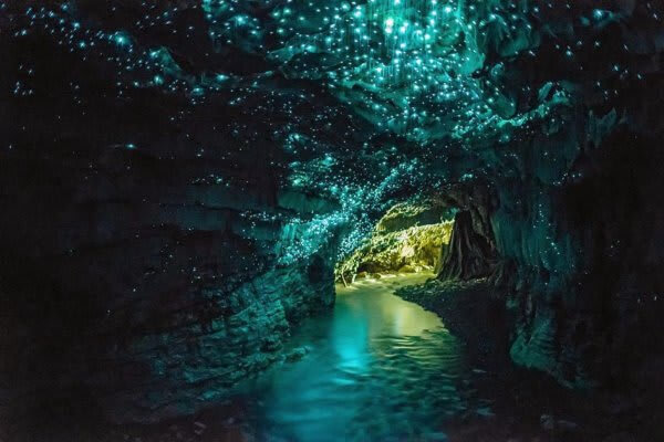 41. Waitomo Glowworm Caves, New Zealand